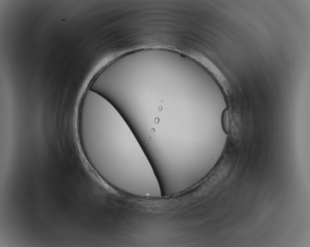 X0000088191096200705150954
