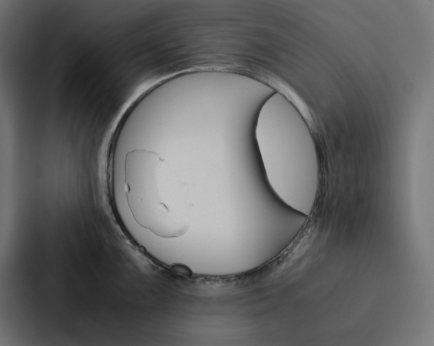 X0000088191099200705150954