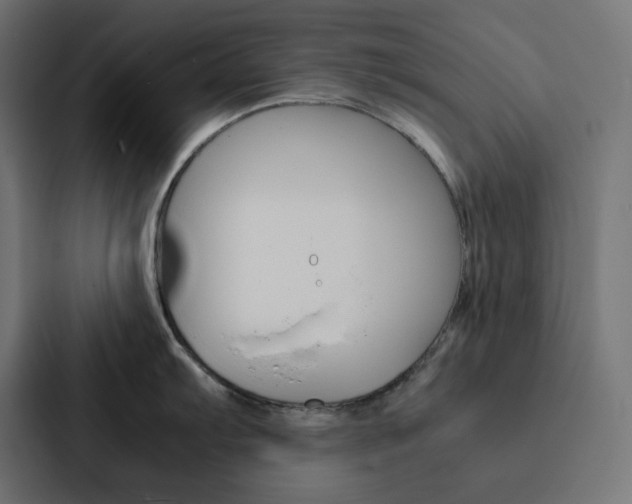 X0000088191103200705150954
