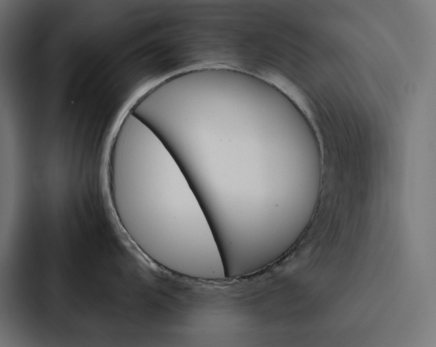 X0000088191104200705150954