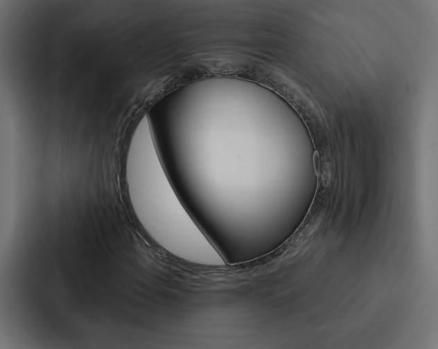 X0000088191108200705150954