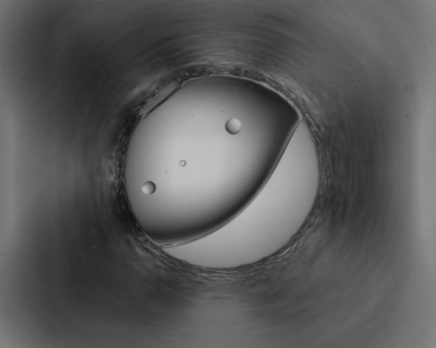 X0000088191110200705150954