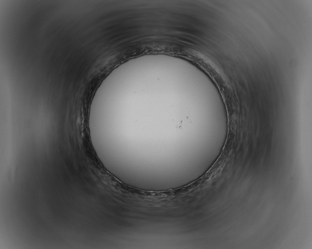 X0000088191111200705150954