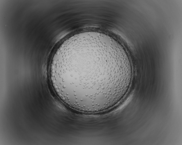 X0000088191113200705150954