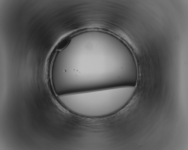X0000088191116200705150954