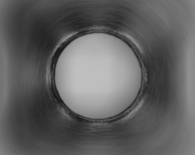X0000088191117200705150954