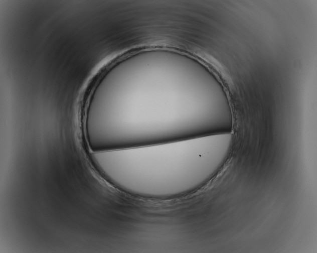 X0000088191120200705150954