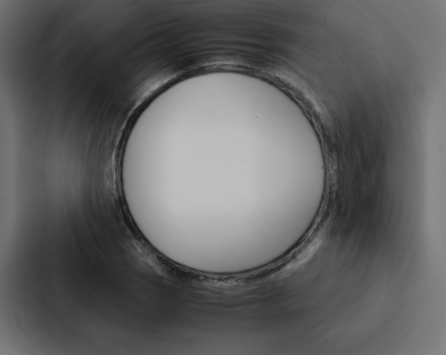 X0000088191121200705150954