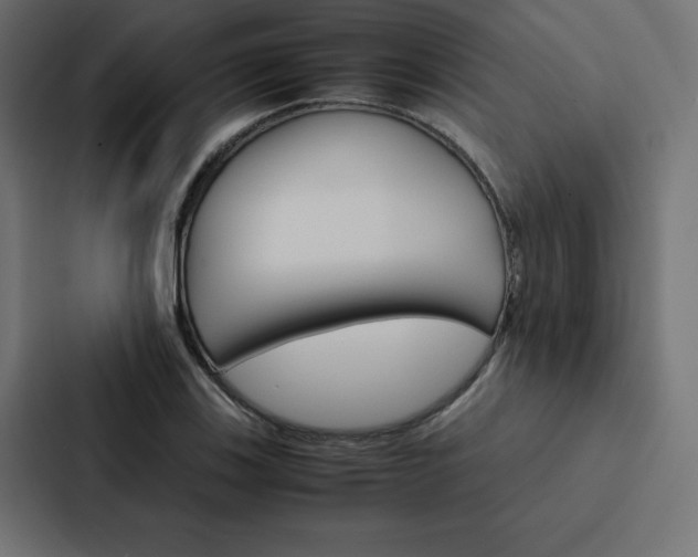 X0000088191123200705150954