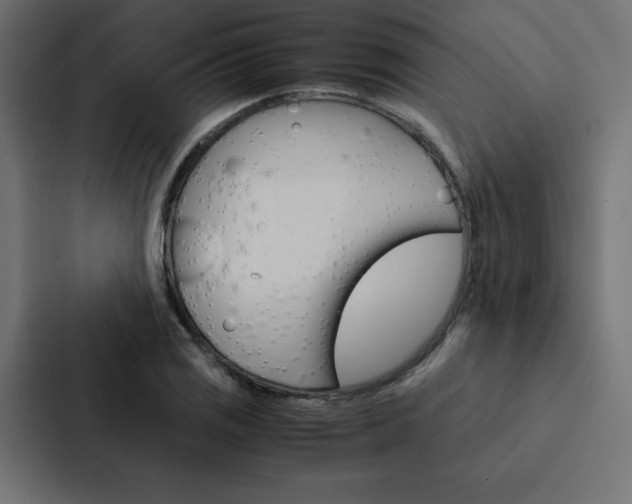 X0000088191125200705150954
