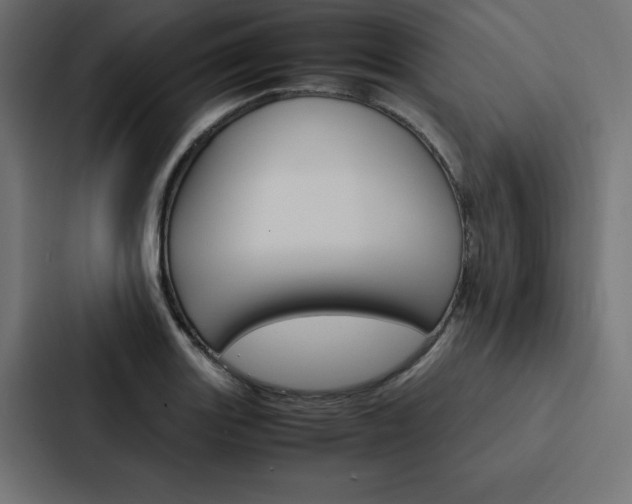 X0000088191131200705150954