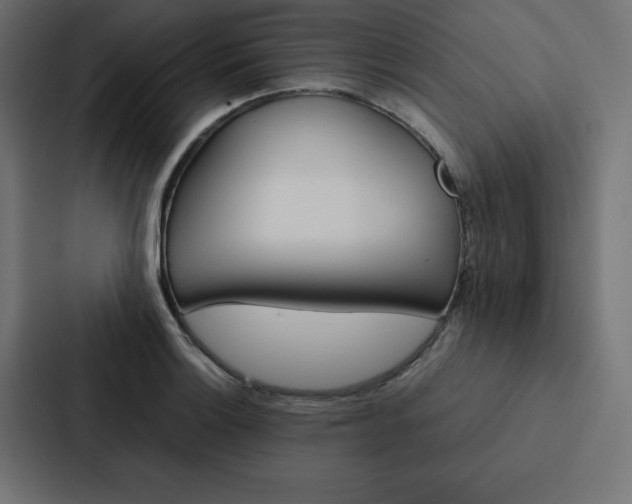 X0000088191132200705150954