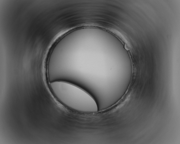X0000088191133200705150954