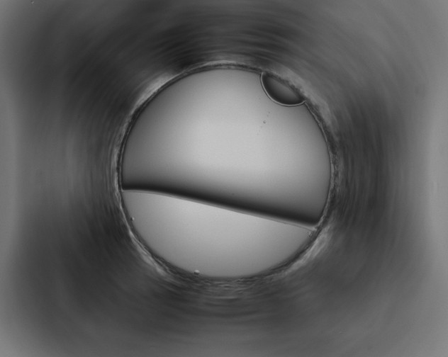 X0000088191137200705150954