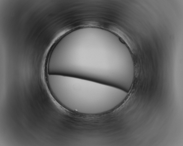 X0000088191139200705150954