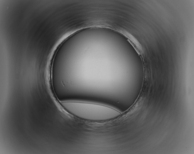X0000088191144200705150954