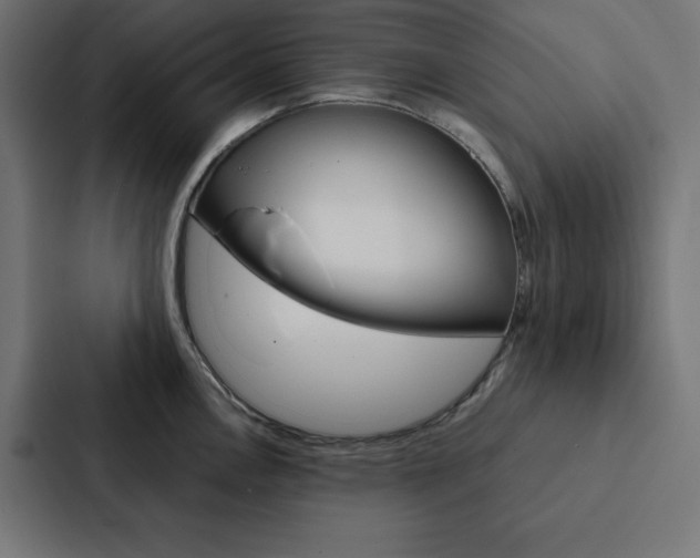 X0000088191146200705150954