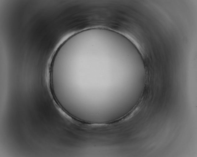 X0000088191151200705150954