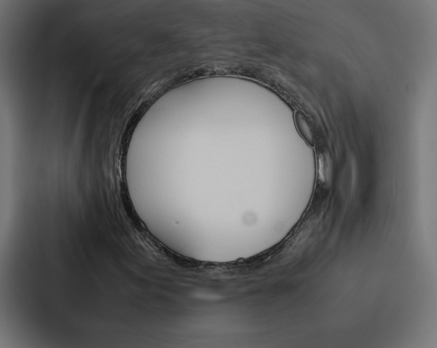 X0000088191155200705150953