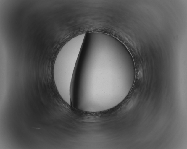 X0000088191156200705150953