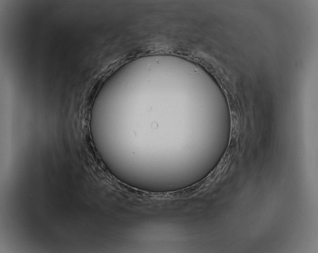 X0000088191157200705150953
