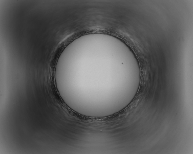 X0000088191158200705150953