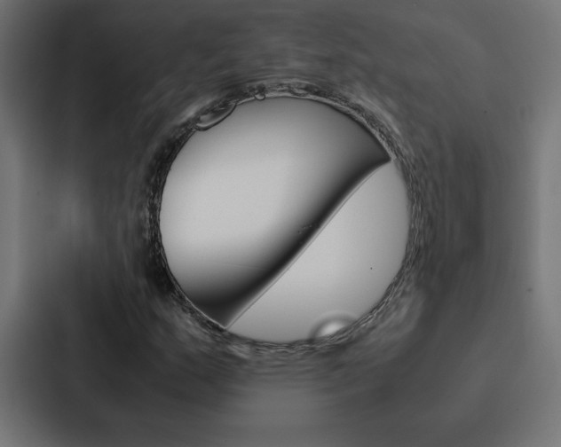 X0000088191159200705150953