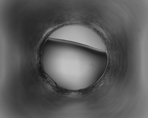 X0000088191160200705150953