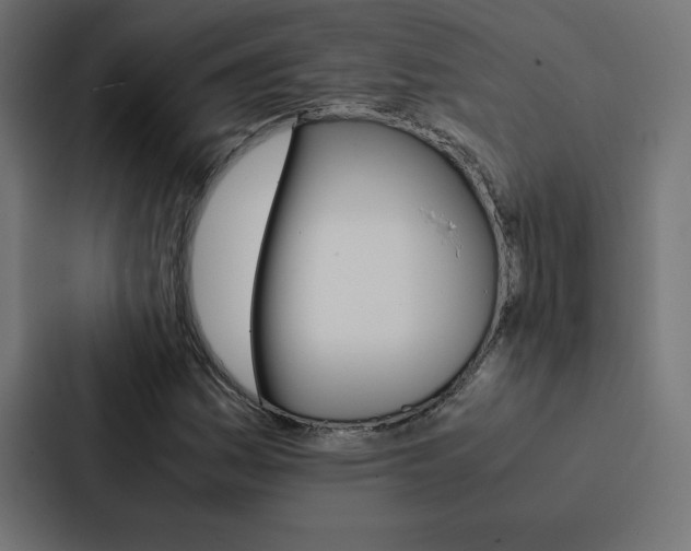 X0000088191161200705150953