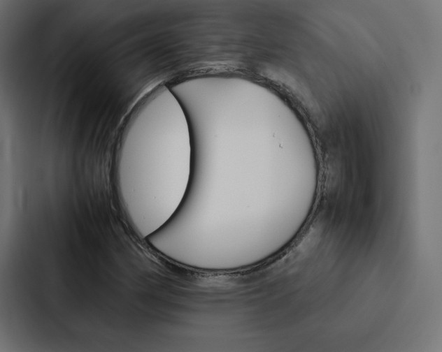 X0000088191162200705150953