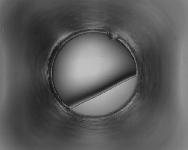 X0000088191164200705150953