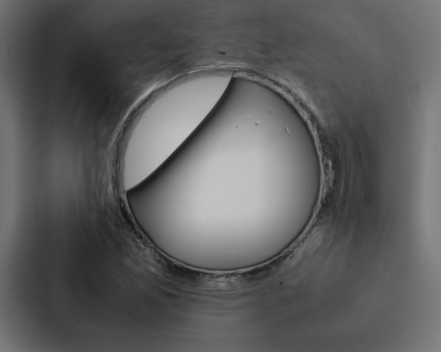 X0000088191165200705150953