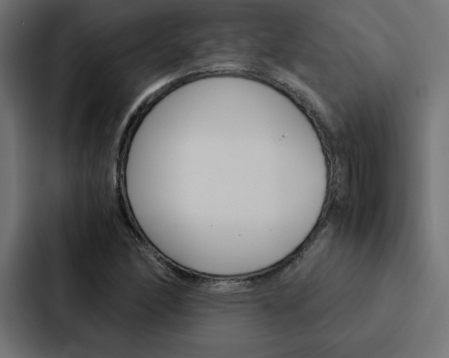 X0000088191166200705150953