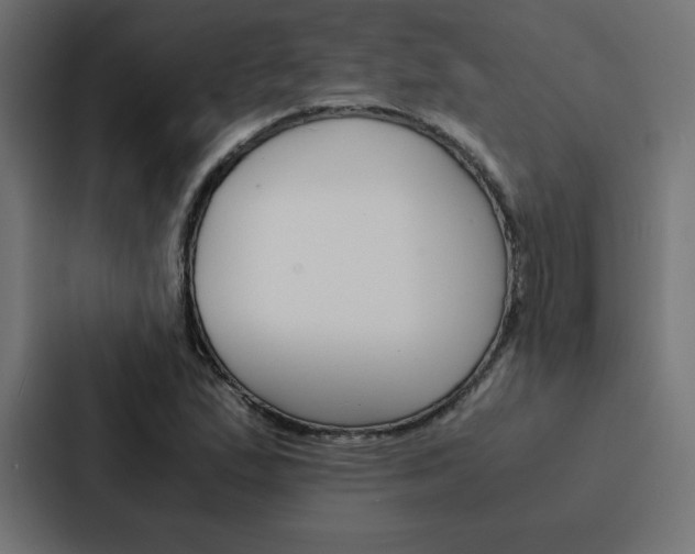 X0000088191167200705150953