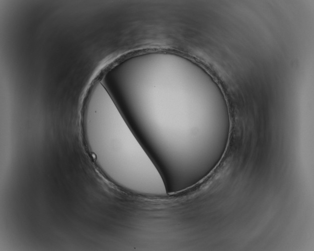 X0000088191168200705150953
