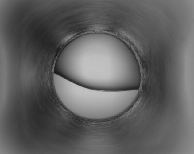 X0000088191169200705150953