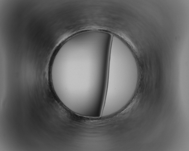 X0000088191173200705150953