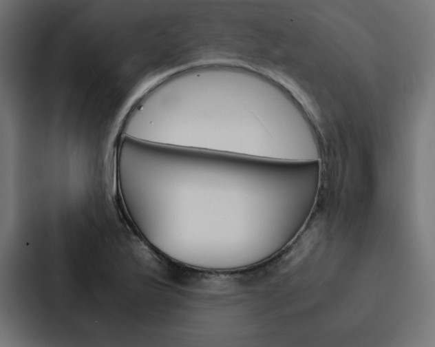 X0000088191175200705150953