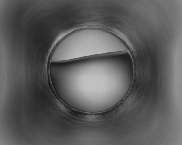 X0000088191176200705150953