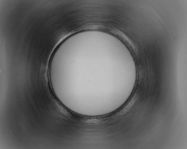X0000088191178200705150953