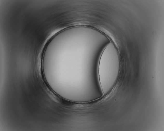 X0000088191179200705150953