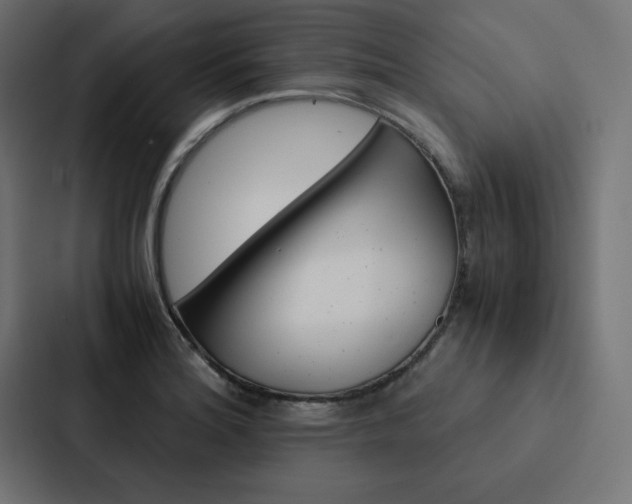 X0000088191180200705150953