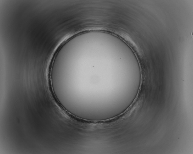 X0000088191181200705150953