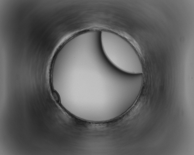 X0000088191183200705150953