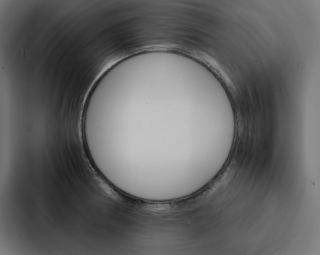 X0000088191186200705150953