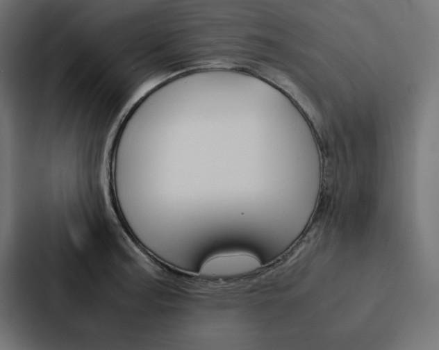 X0000088191187200705150953