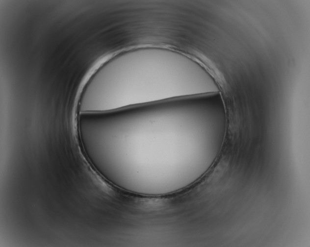 X0000088191188200705150953
