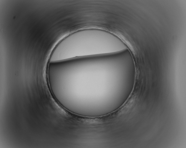 X0000088191189200705150953