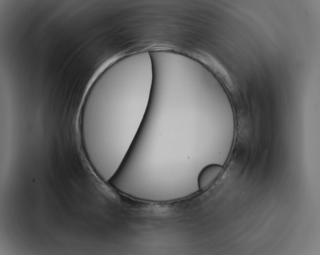 X0000088191190200705150953