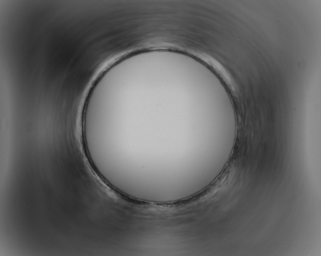 X0000088191191200705150953
